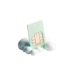 SIM Card